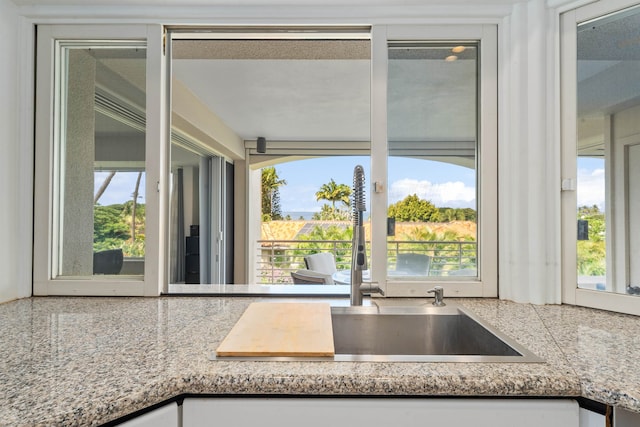 kitchen with a healthy amount of sunlight and sink