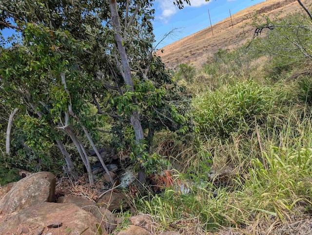 555 Hokiokio Rd, Lahaina, HI 96761