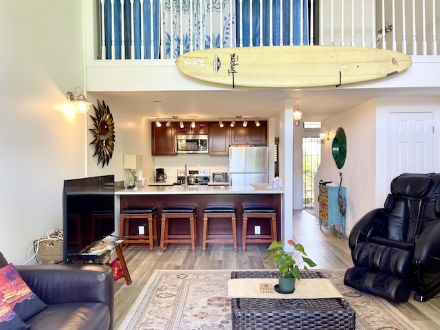 living room featuring a high ceiling and light wood-type flooring