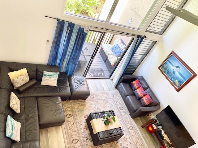 living room featuring hardwood / wood-style flooring and a towering ceiling