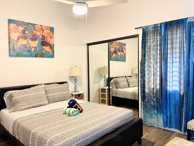 bedroom featuring wood-type flooring and a closet