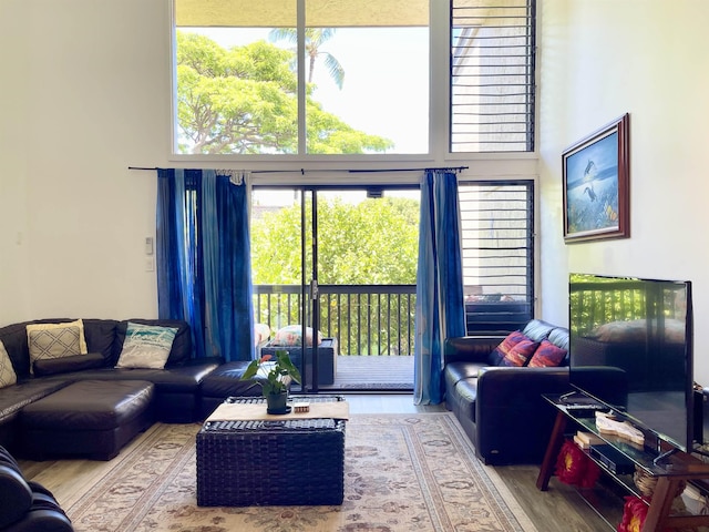 living room featuring hardwood / wood-style floors and a high ceiling