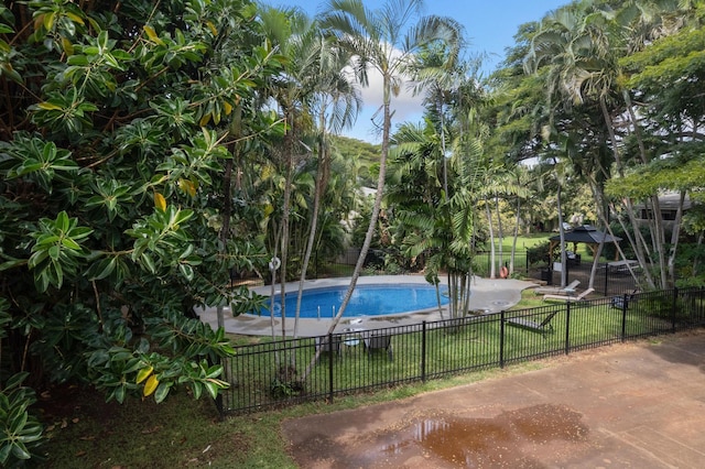 view of swimming pool featuring a patio