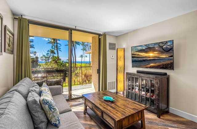 living room with hardwood / wood-style flooring and floor to ceiling windows