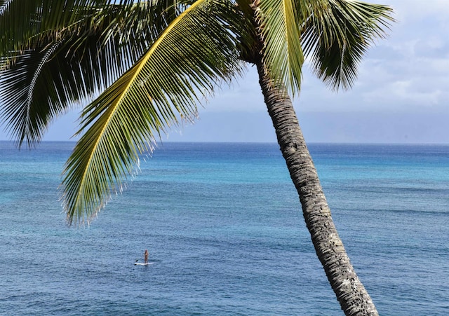 5163 Lower Honoapiilani Rd, Lahaina, HI 96761 - water view
