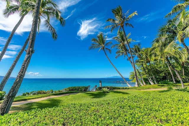 3600 Wailea Alanui Dr Unit 1101, Kihei, HI 96753 - water view
