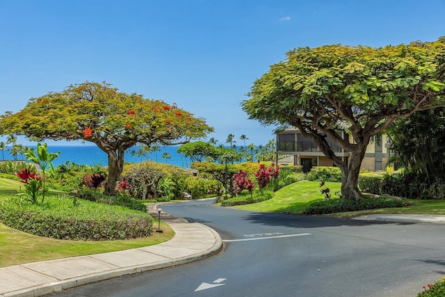 3600 Wailea Alanui Dr Unit 1101, Kihei, HI 96753 - view of asphalt road with curbs and sidewalks