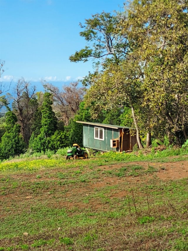 view of yard featuring a storage shed and an outdoor structure
