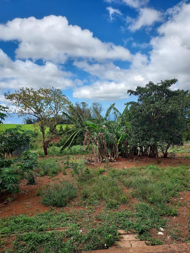 view of nature