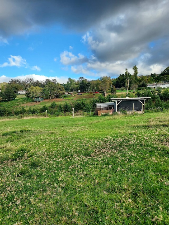 view of yard featuring a rural view