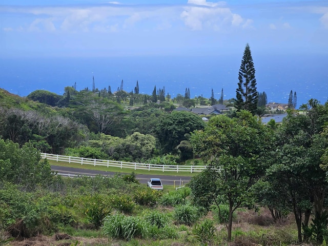 63 Lahaole Pl Unit 19, Wailuku HI, 96793 land for sale