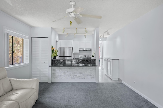 carpeted living room with ceiling fan, rail lighting, and a textured ceiling