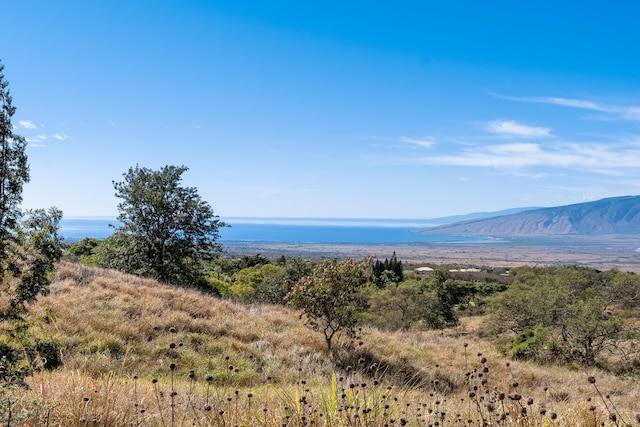 Listing photo 2 for 619 Omaopio Rd Lot 1-B, Kula HI 96790