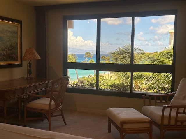 home office with a water view and carpet flooring