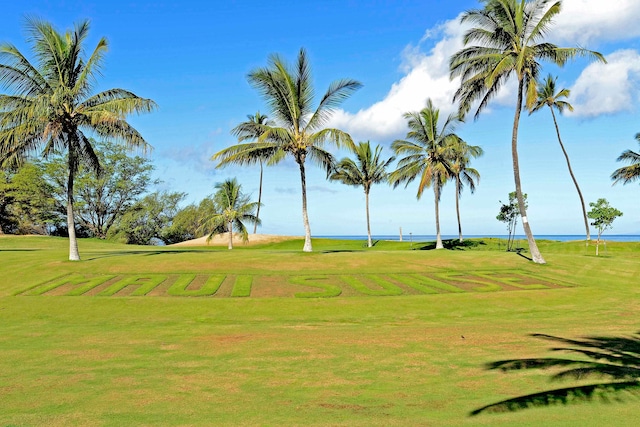 view of home's community featuring a yard