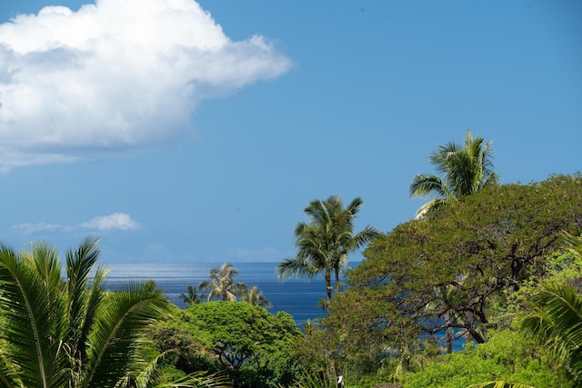 93 Makakehau St Unit G5, Kihei, HI 96753 - water view