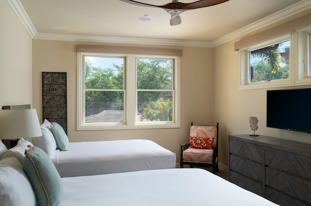 93 Makakehau St Unit G5, Kihei, HI 96753 - bedroom with crown molding and baseboards