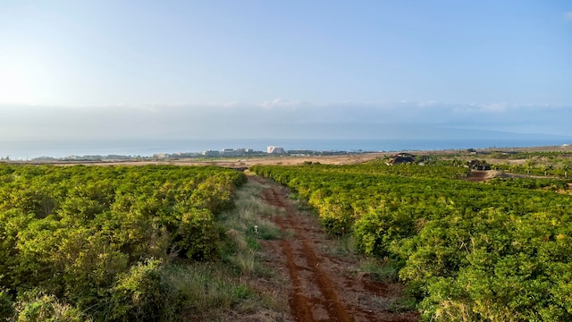 517 Ola Kope St, Lahaina HI, 96761 land for sale