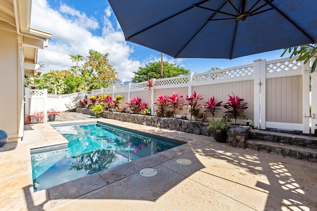 view of swimming pool with a patio area, a fenced backyard, and a fenced in pool