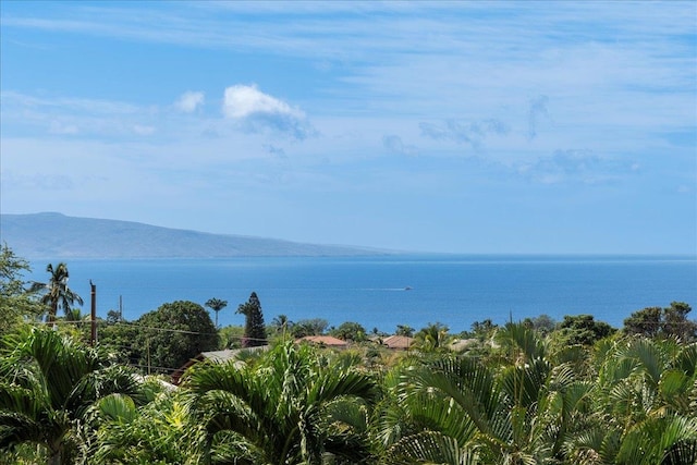 view of water feature featuring a mountain view