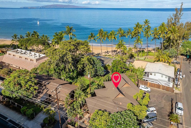 aerial view with a view of the beach and a water view