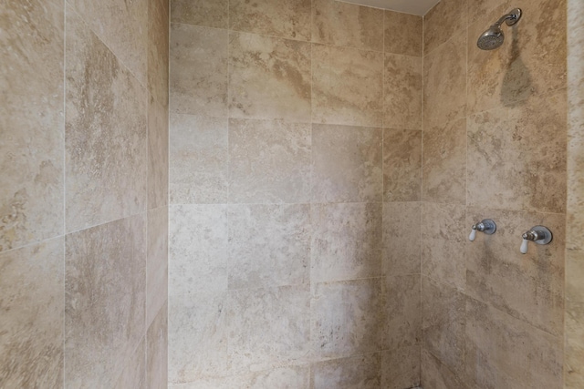 room details featuring tiled shower