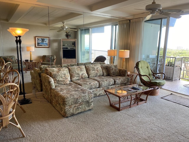 living room with ceiling fan, floor to ceiling windows, beam ceiling, and carpet flooring