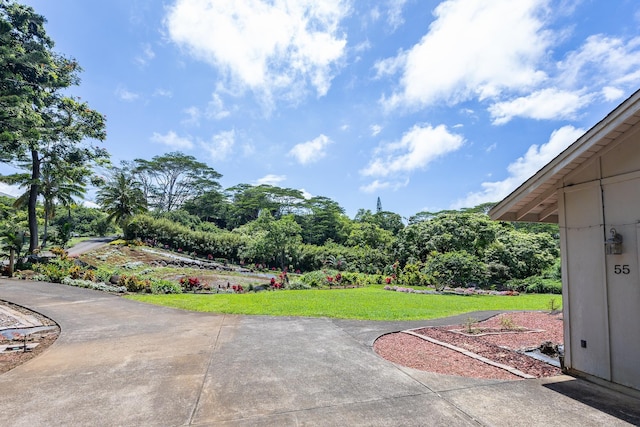 55 Palulu Way Unit A, Haiku, HI 96708 - view of grassy yard with a patio area