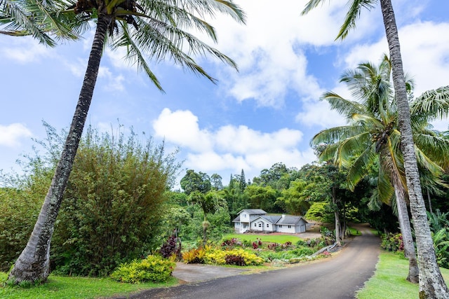 55 Palulu Way Unit A, Haiku, HI 96708 - view of asphalt road