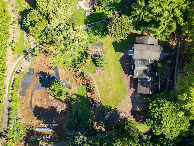 55 Palulu Way Unit A, Haiku, HI 96708 - aerial view