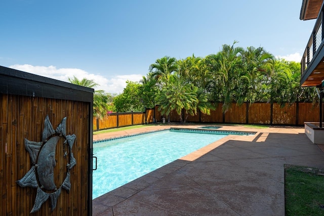 view of swimming pool with a patio area and a jacuzzi