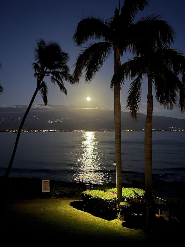 190 Hauoli St Unit 220, Wailuku, HI 96793 - property view of water