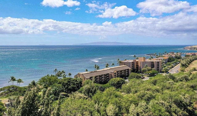190 Hauoli St Unit 220, Wailuku, HI 96793 - water view