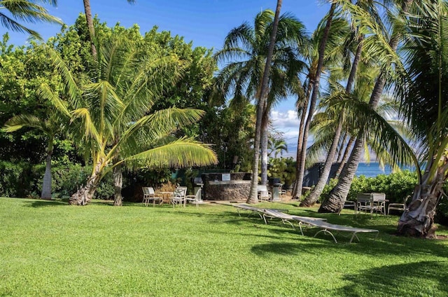 190 Hauoli St Unit 220, Wailuku, HI 96793 - surrounding community featuring a yard