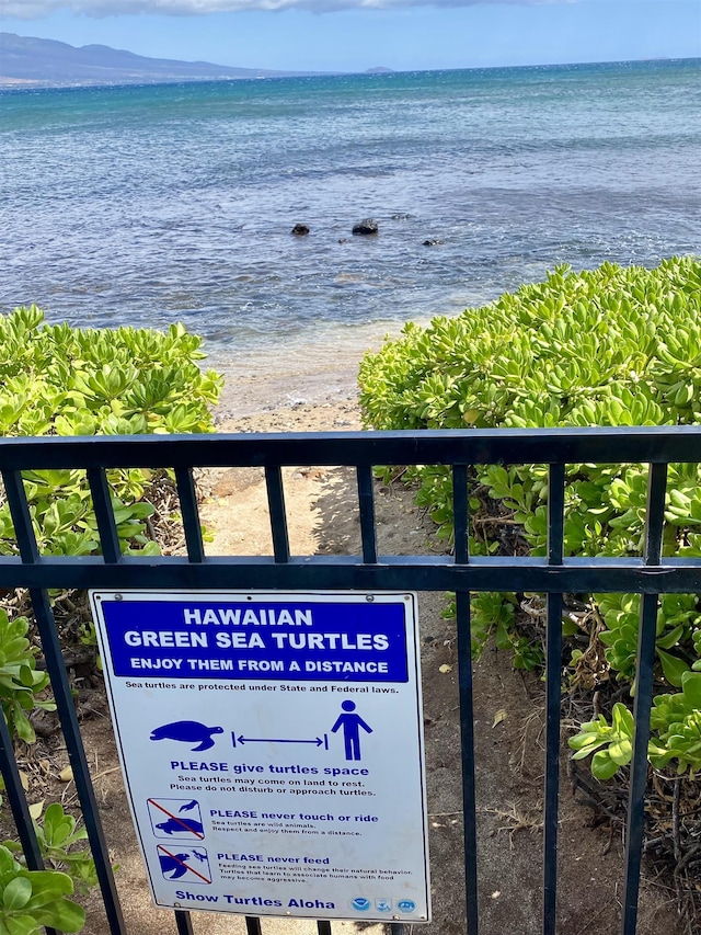 190 Hauoli St Unit 220, Wailuku, HI 96793 - view of water feature