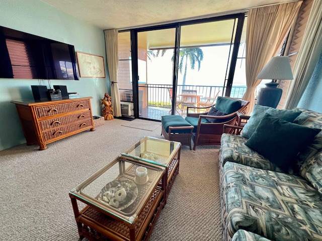 living room featuring carpet flooring, a wall of windows, and a textured ceiling