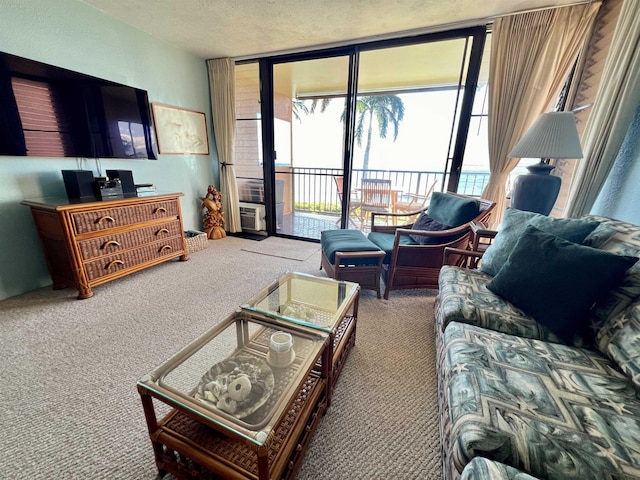 190 Hauoli St Unit 220, Wailuku, HI 96793 - living area featuring carpet floors, a textured ceiling, and floor to ceiling windows