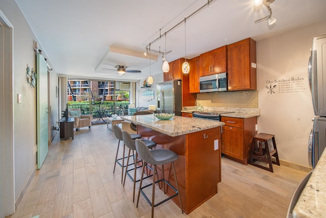 kitchen with ceiling fan, light hardwood / wood-style flooring, light stone countertops, and appliances with stainless steel finishes