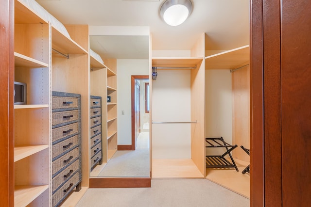 spacious closet featuring light carpet