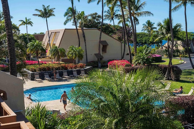 view of pool with a patio area