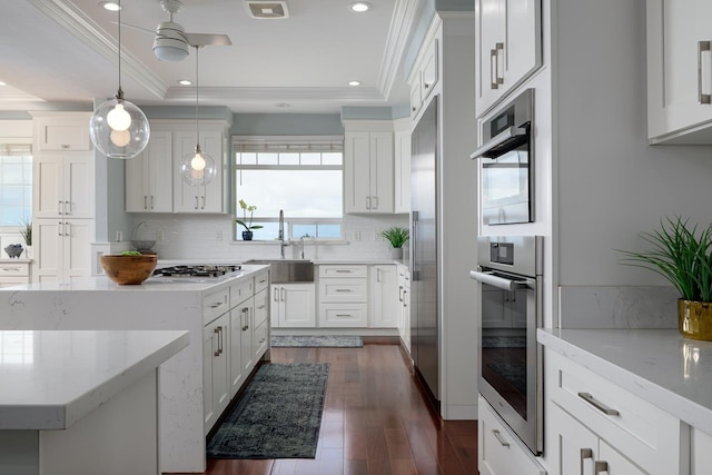 kitchen featuring stainless steel appliances, a tray ceiling, a sink, white cabinetry, and decorative backsplash