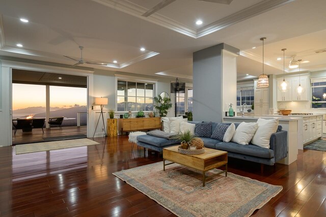 living area featuring dark wood finished floors, a raised ceiling, ceiling fan, and ornamental molding