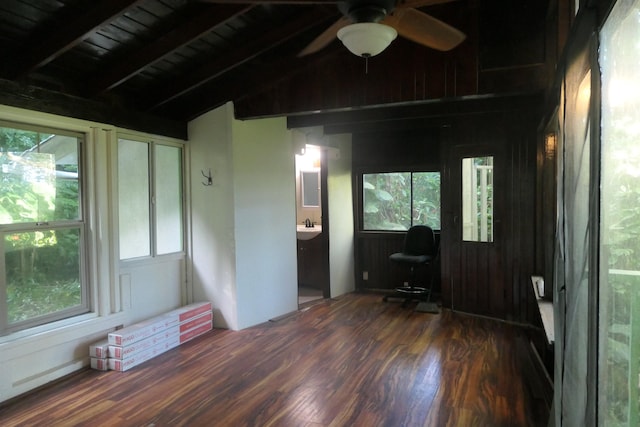 interior space with dark hardwood / wood-style floors, ceiling fan, wooden ceiling, and a wealth of natural light