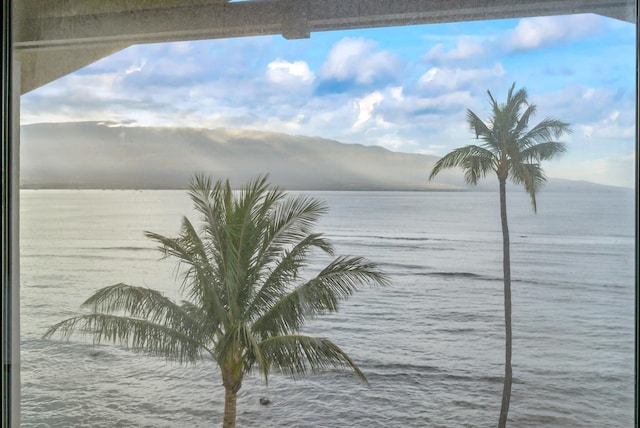 property view of water