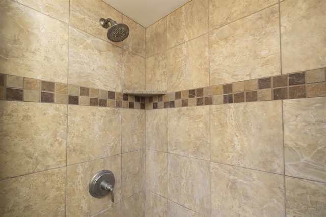 interior details featuring tiled shower