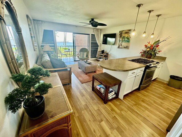 living room featuring ceiling fan and light hardwood / wood-style floors