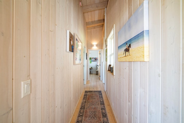 corridor featuring light hardwood / wood-style flooring and wood walls