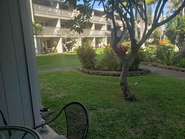 view of yard featuring a balcony