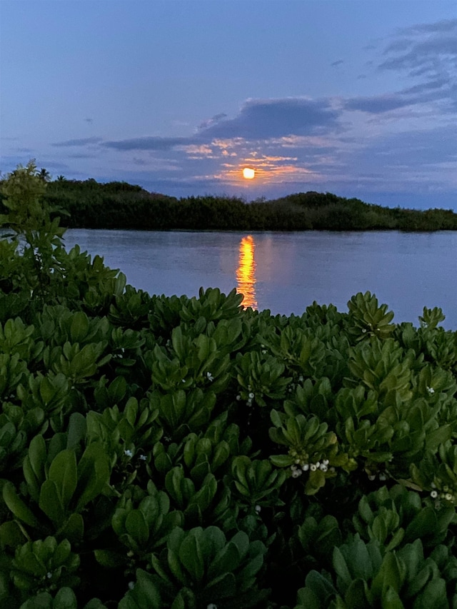 view of water view