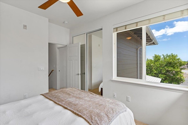 bedroom featuring ceiling fan and multiple windows